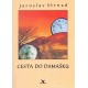 Cesta do Damašku - Jaroslav Strnad