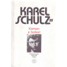 Kámen a bolest - Karel Schulz (1989)