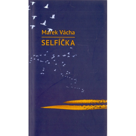 Selfíčka - Marek Vácha