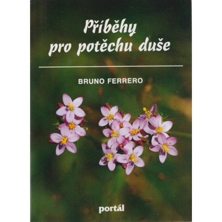 Příběhy pro potěchu duše - Bruno Ferrero (2006)