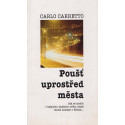 Poušť uprostřed města - Carlo Carretto (1995)