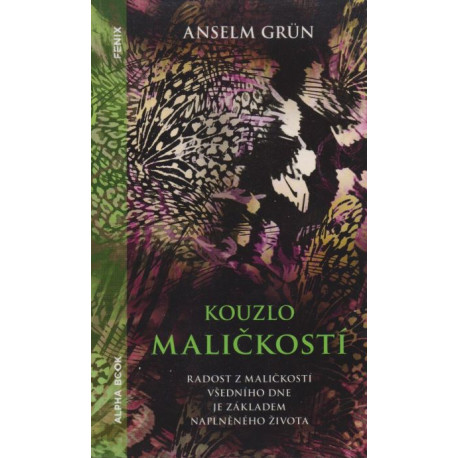 Kouzlo maličkostí - Anselm Grün