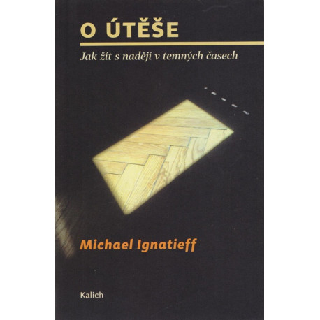 O útěše - Michael Ignatieff