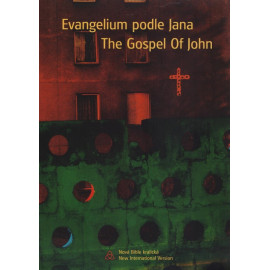 Evangelium podle Jana - The Gospel of John (2006)